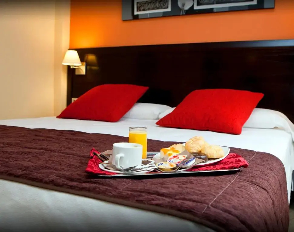 Standard Double room (full double bed)