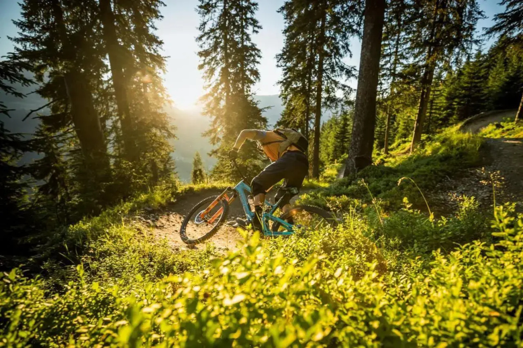 Appartement Neumayer