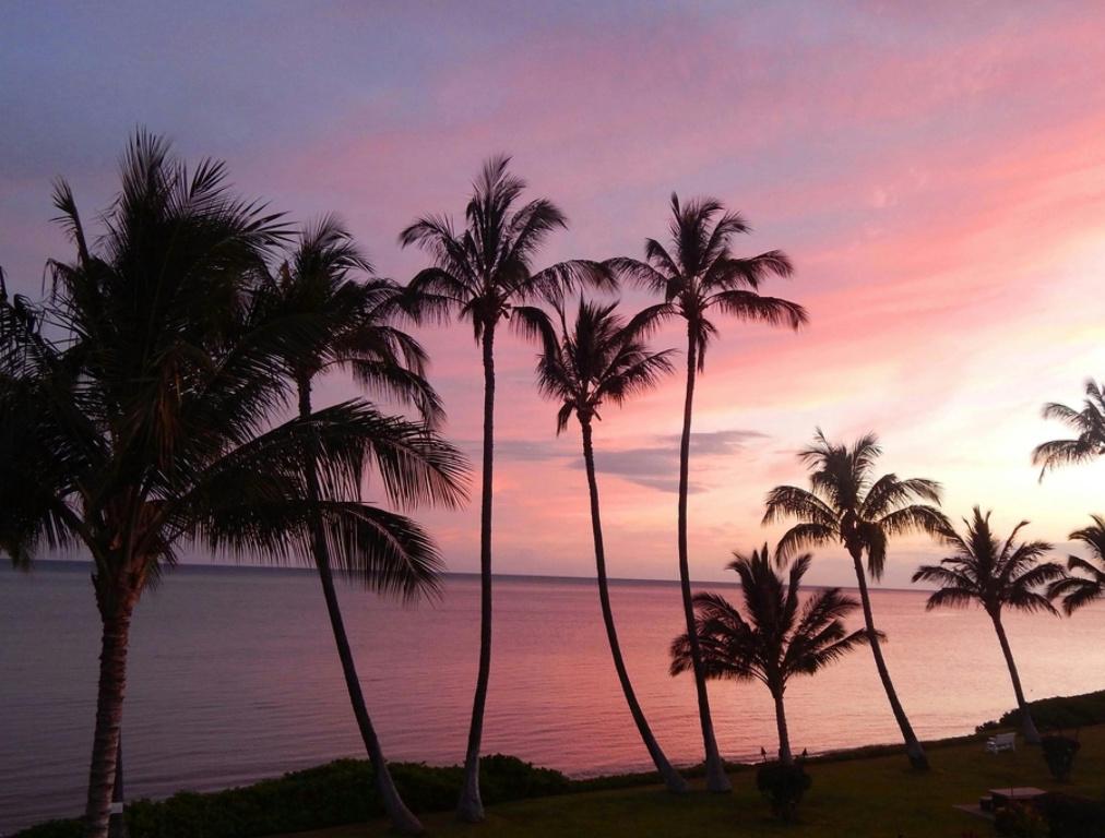 Hotel Moloka'i - Général