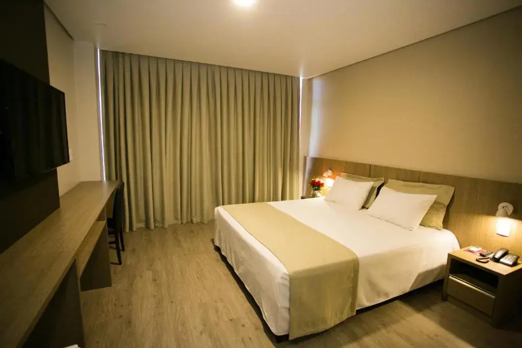 Standard Double room with lake view (full double bed)