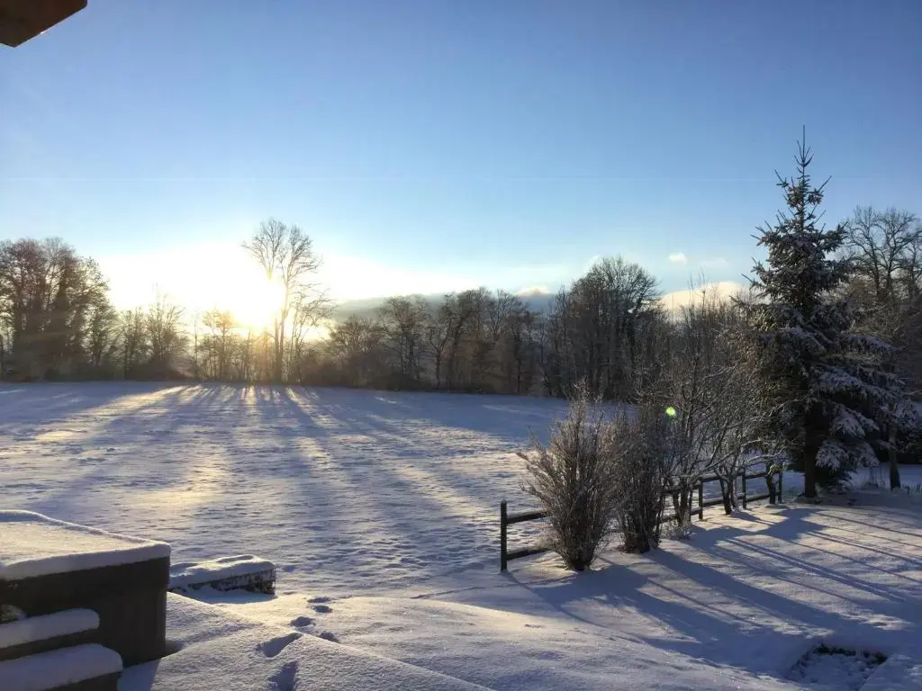 Le Chalet Du Pic SPA privé & Fitness - Chambres