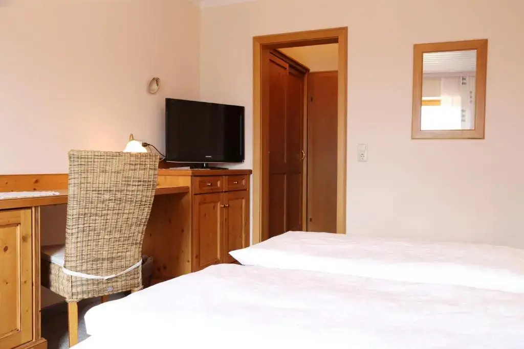 Standard Double room with mountain view (full double bed)
