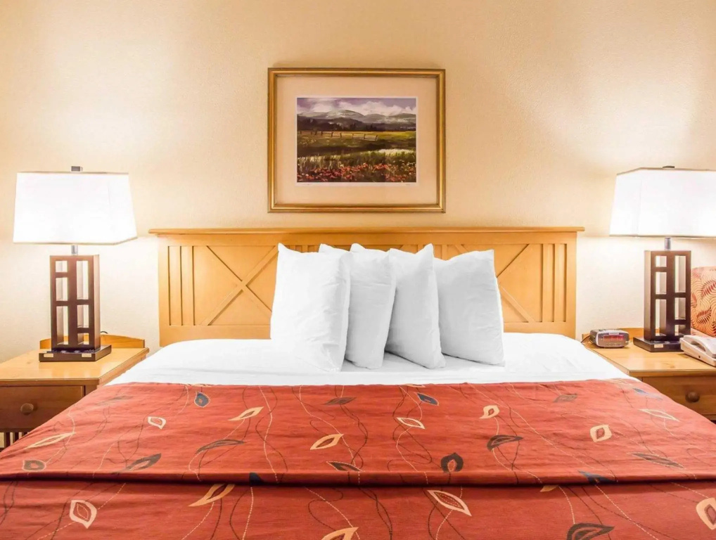 Standard Double room with city view (full double bed)