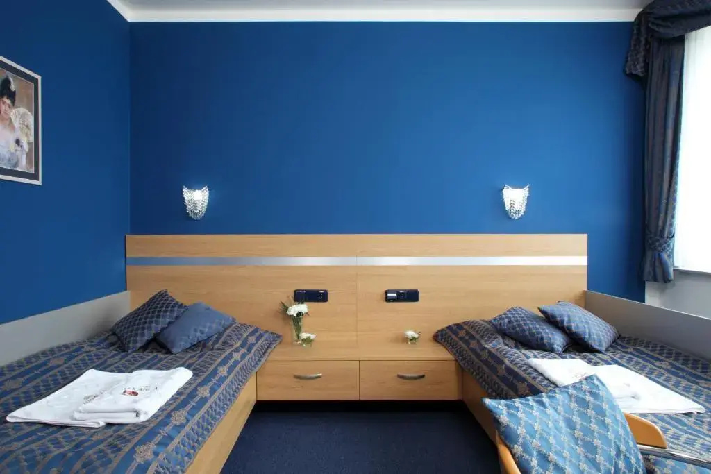 Standard Double room (twin beds)