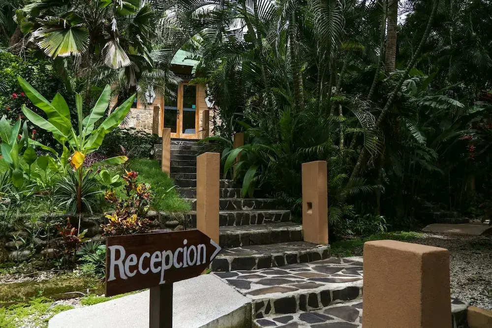 Moana Lodge - фото 17