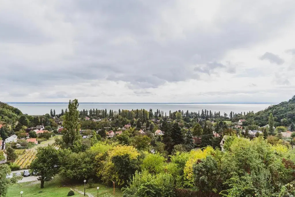 Villa Kabala - фото 13