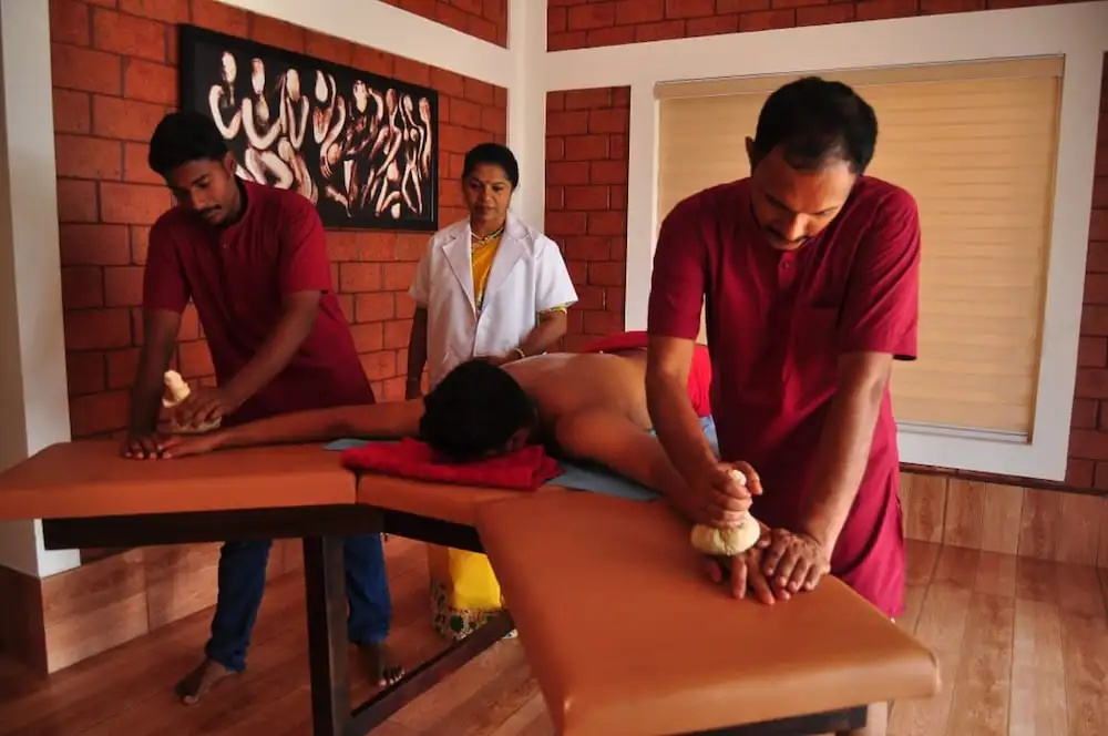 INDIMASI - Ayurveda & Healing Village - Général