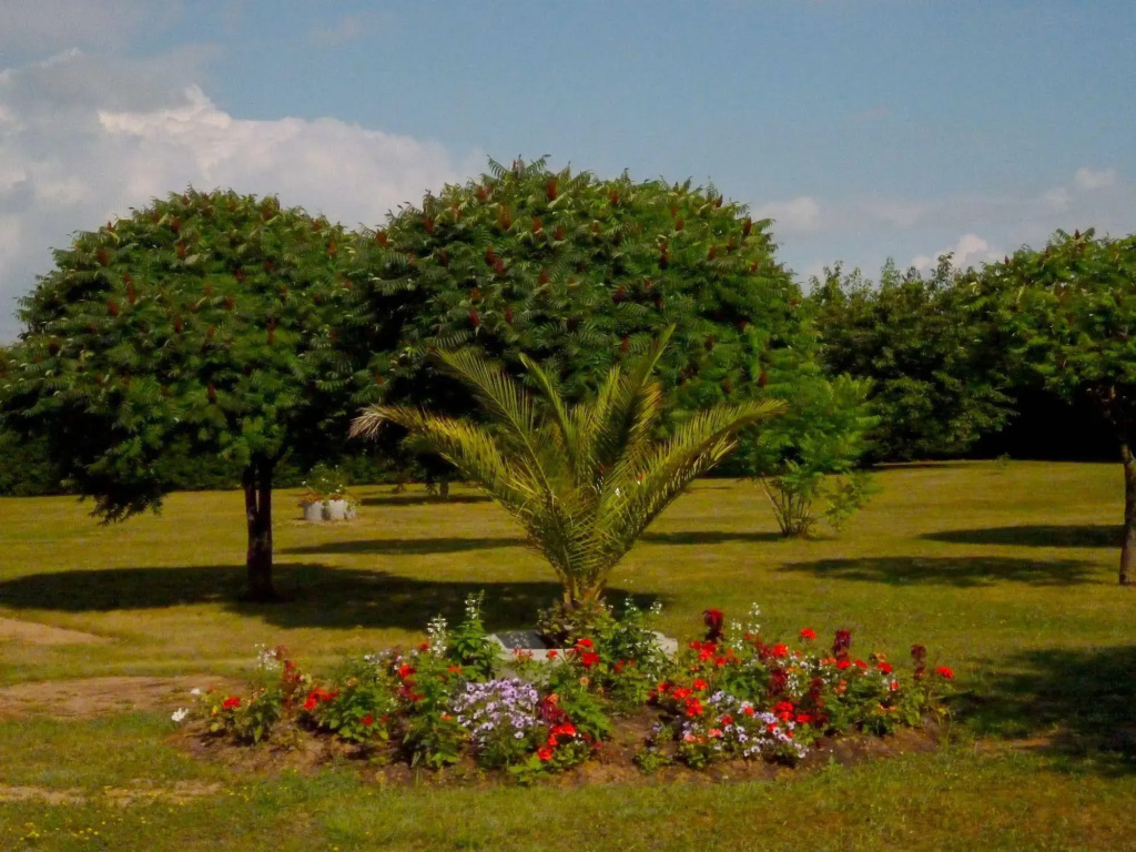 Hotel Au Cep de Vigne - Général