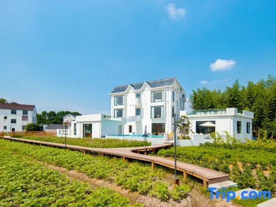 Floral Lux Hotel · Jiuhuashan Xilu Zhanyi Hotel