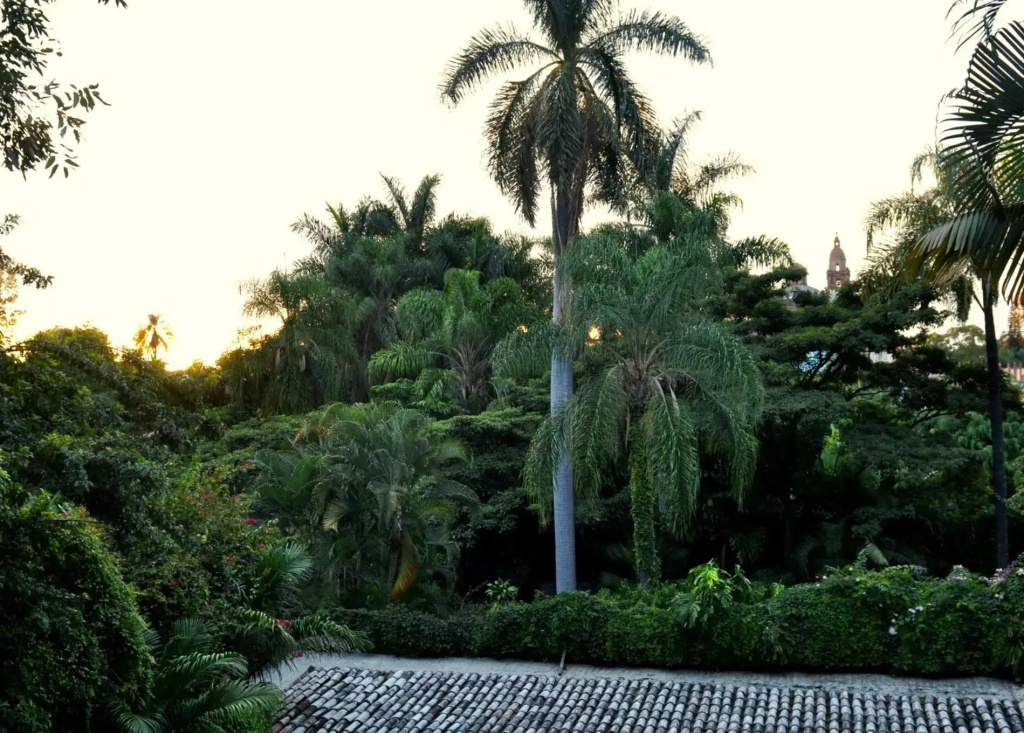 Hotel photo 37
