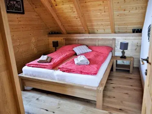 ČISTá V KRKONO íCH 34993