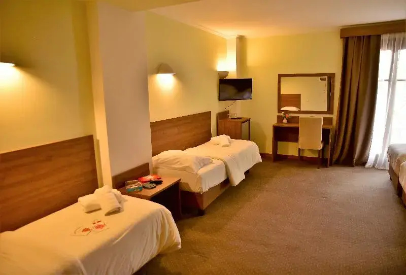 Mont Helmos Hotel - Chambres