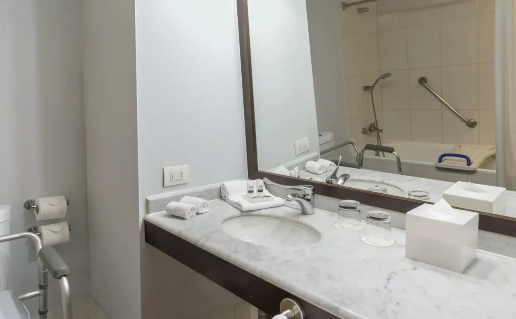 Four Points by Sheraton Santiago - Général