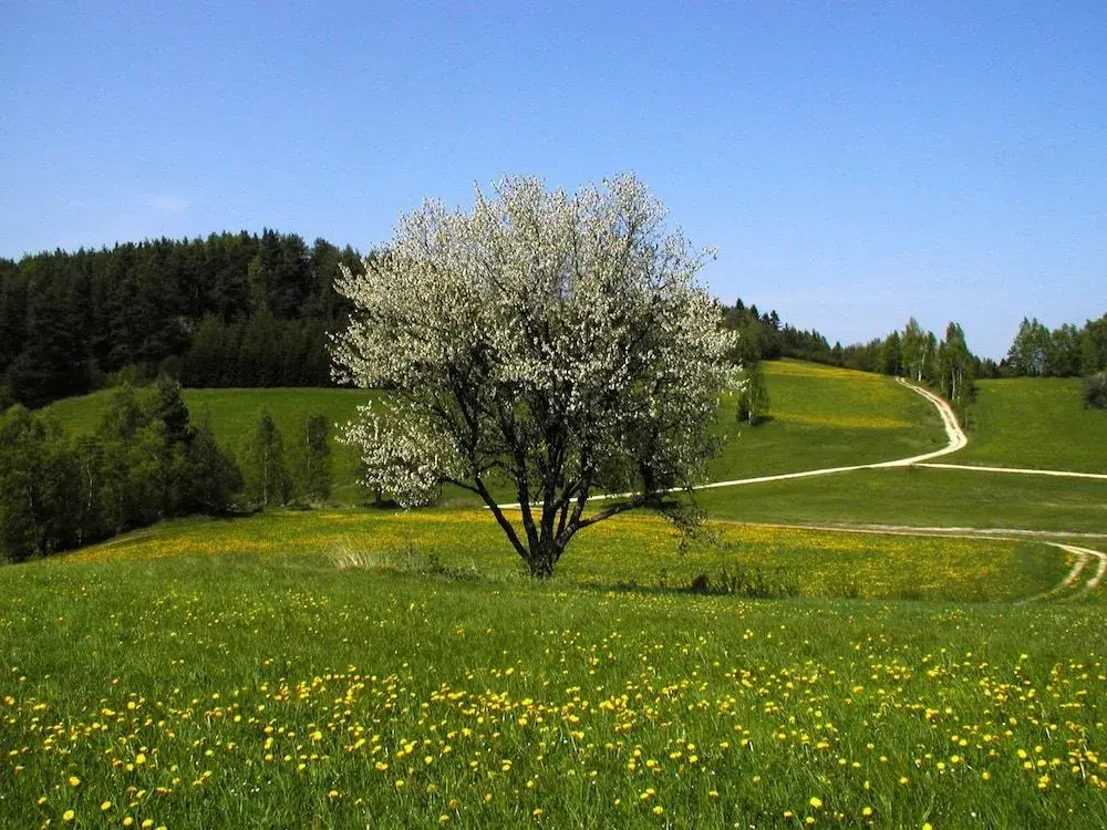 Gasthof Einfalt