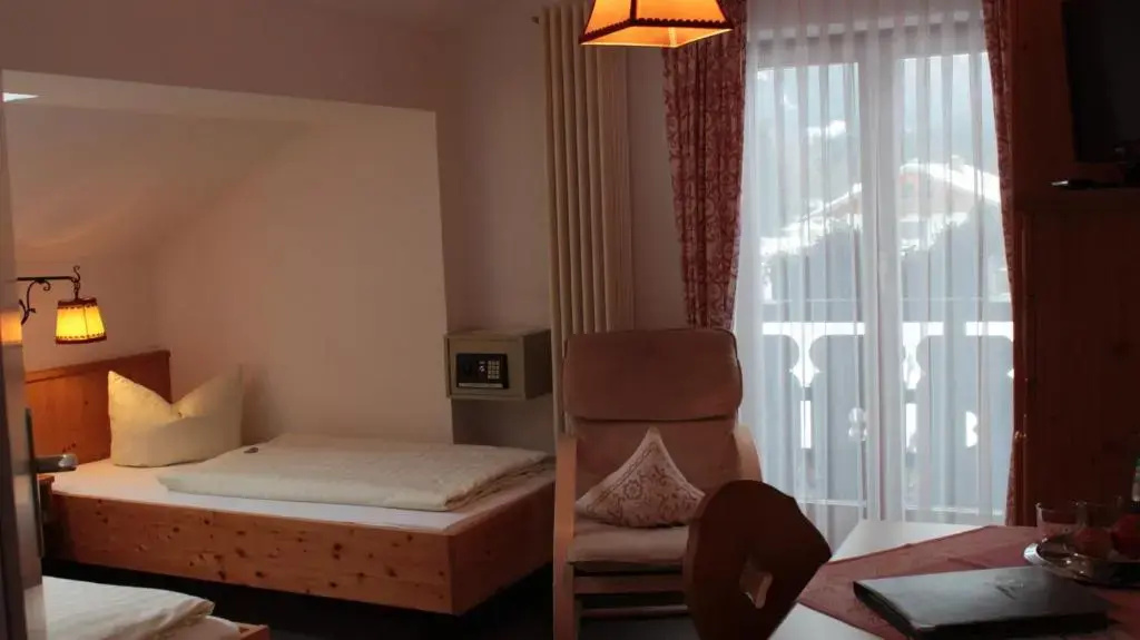 Standard Double room with mountain view (twin beds)