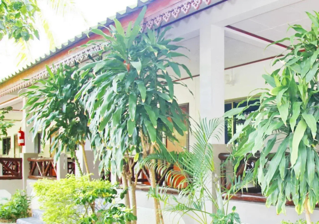 Lamai Inn 99 Bungalows