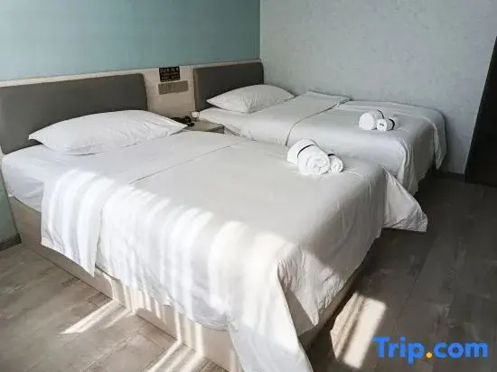 Deluxe Double room (twin beds)