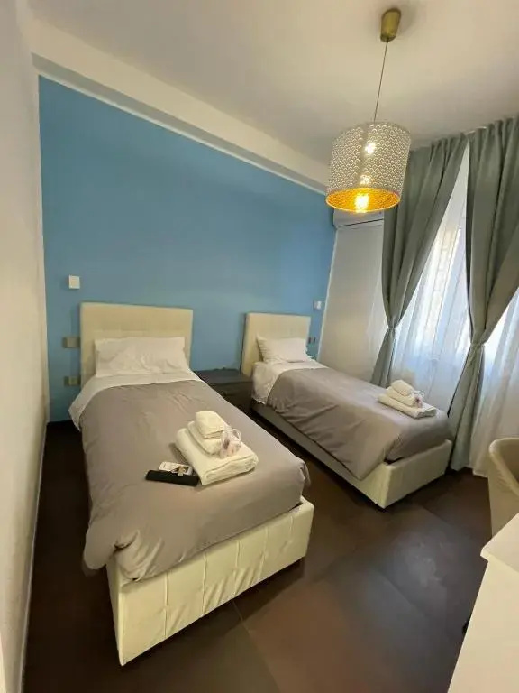 Standard Double room (twin beds)