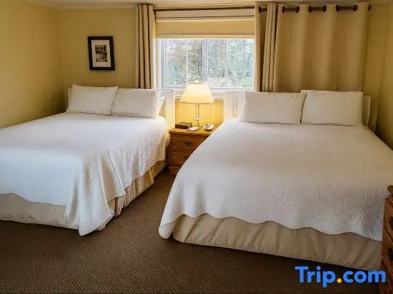 Wilson Lake Inn - Chambres