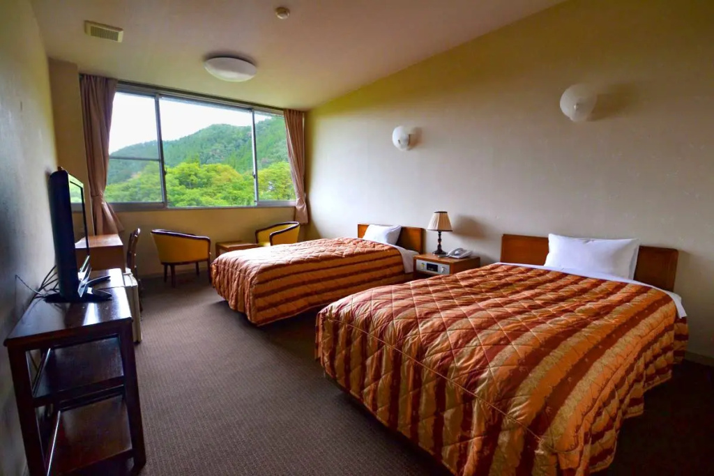 Standard Double room (twin beds)