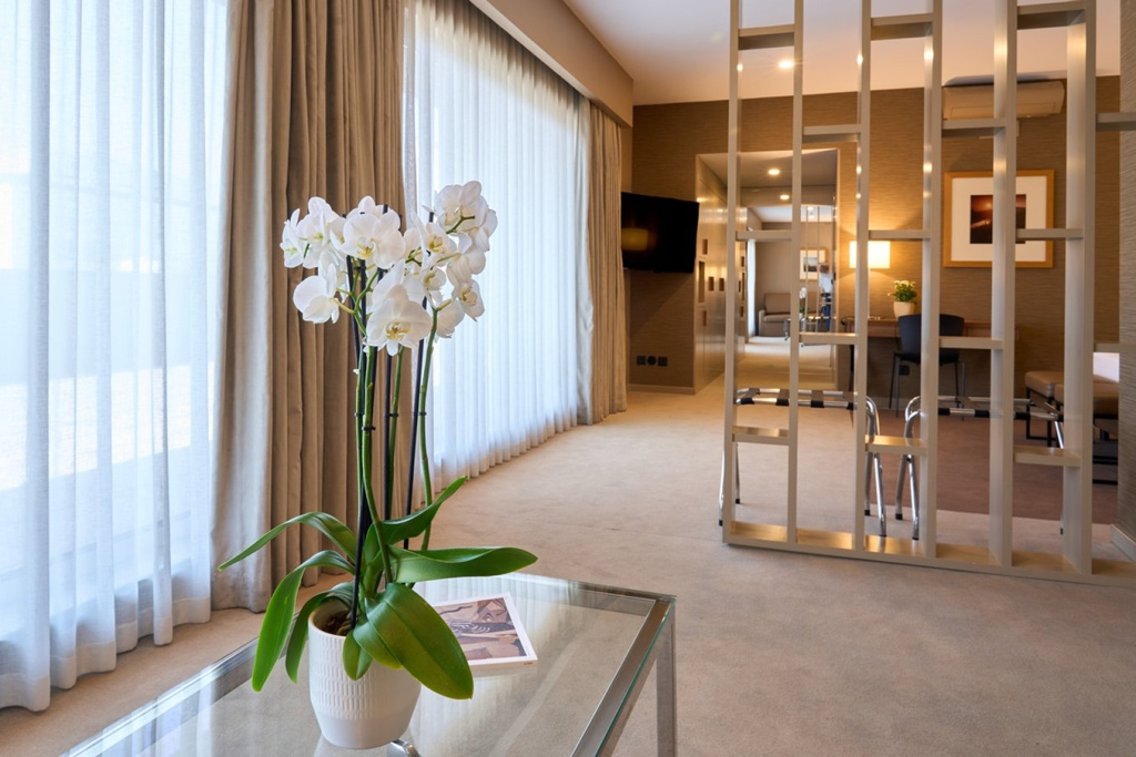 Portus Cale Hotel - Général