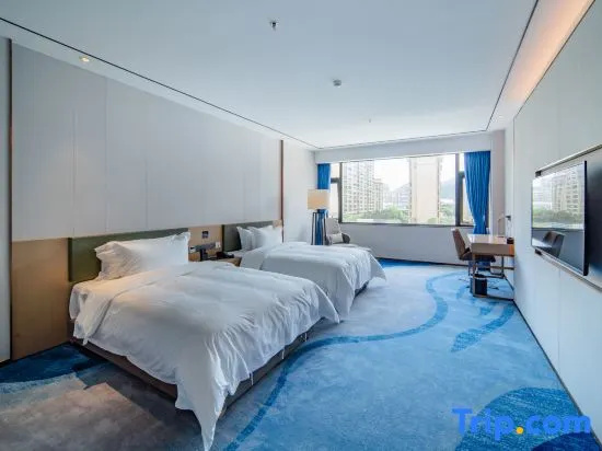 Standard Double room with city view (twin beds)