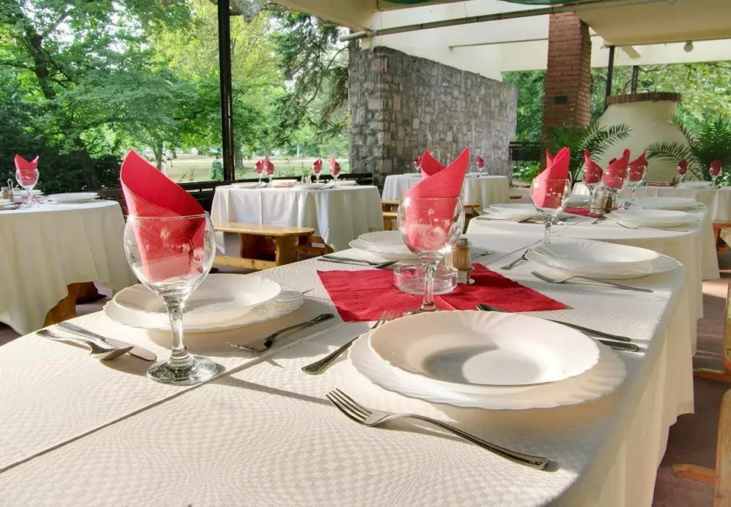 Park Hotel Gyula - Général