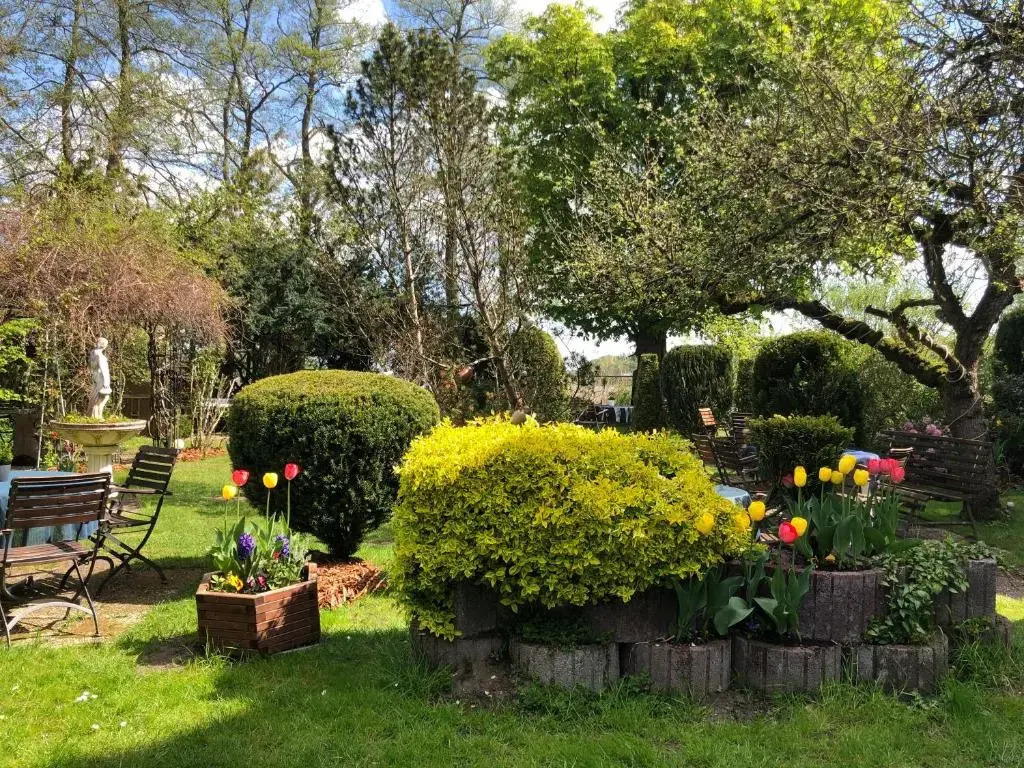 Image 15