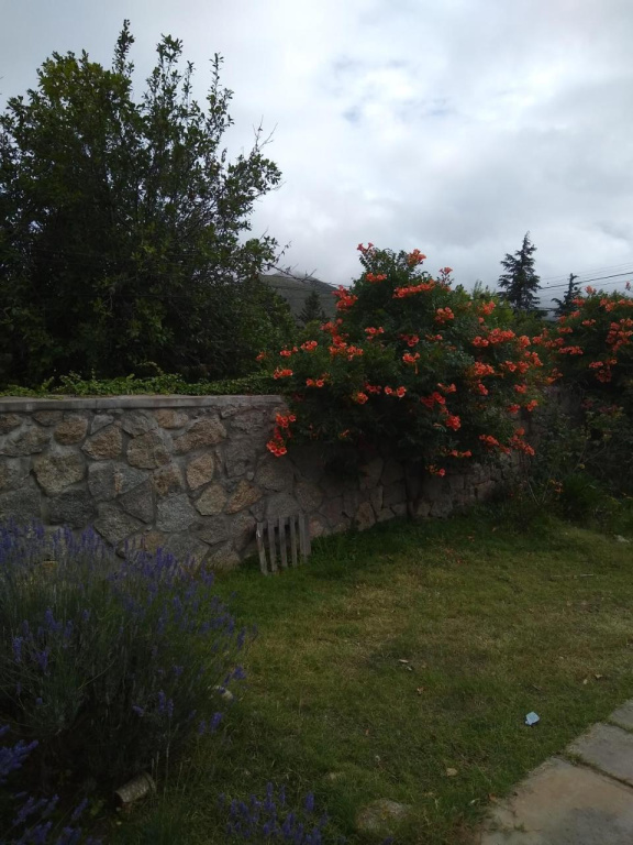 Los Menires Ii