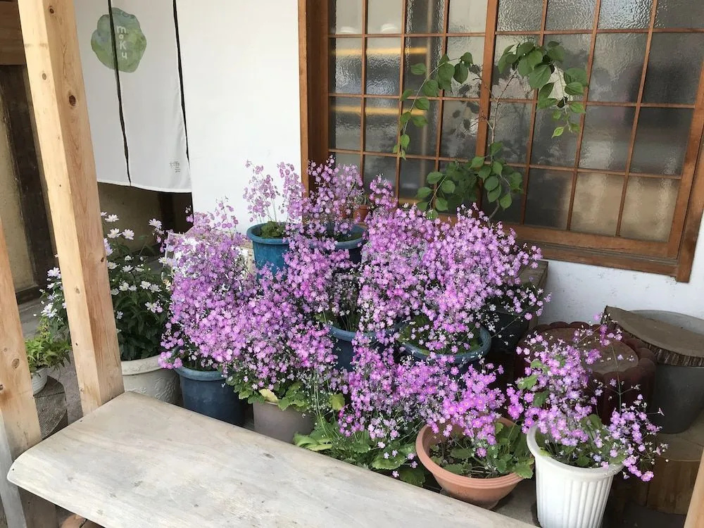 Hostel Moku-Moku 사진 15