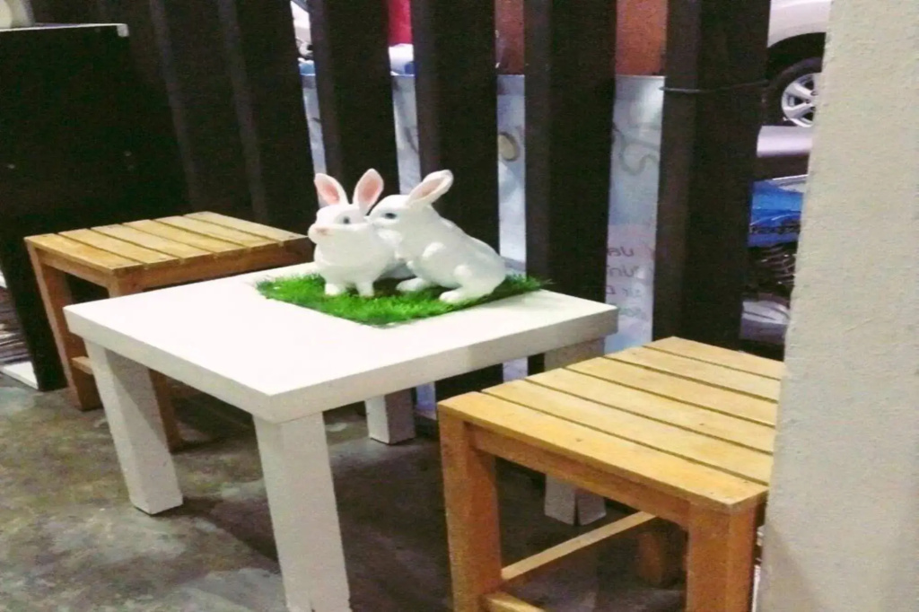 Cozy Rabbit Hotel - Général