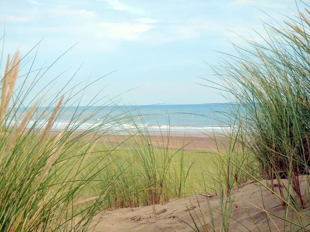 Let’s Unwind Cottages - The Salty Dog & Rock Lobster
