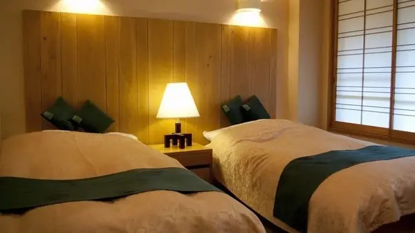 Standard Double room with mountain view (twin beds)