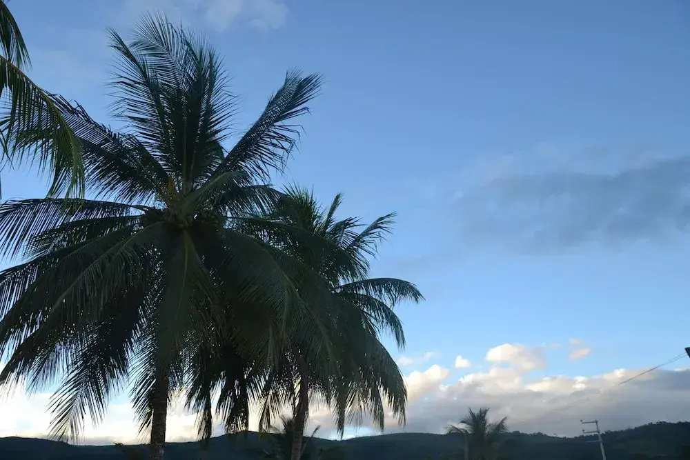 Hotel Suyox Tarapoto - Général