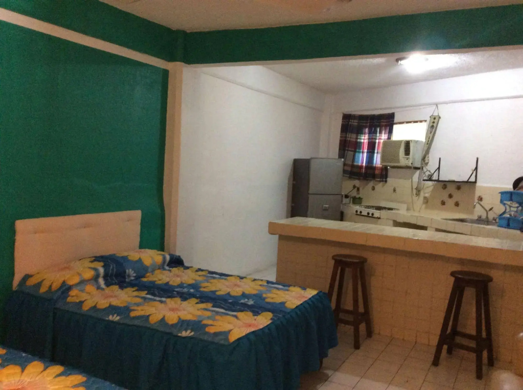 Hotel Suites Tropicana Ixtapa - Général