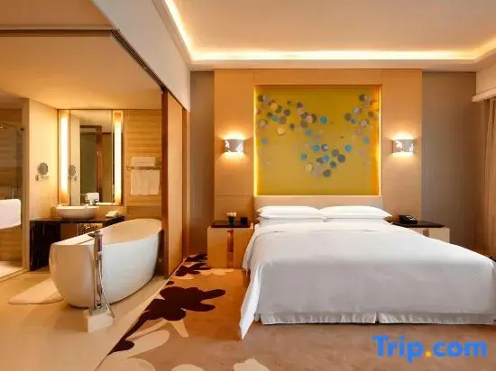 Deluxe Suite with city view