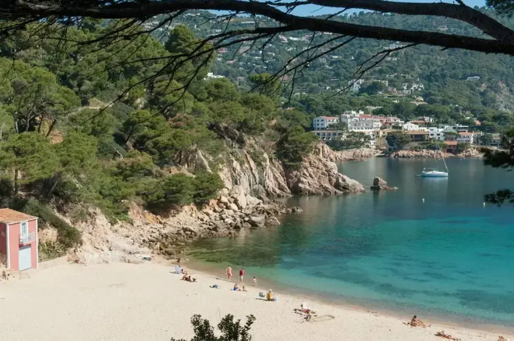 Beach & Waterfront