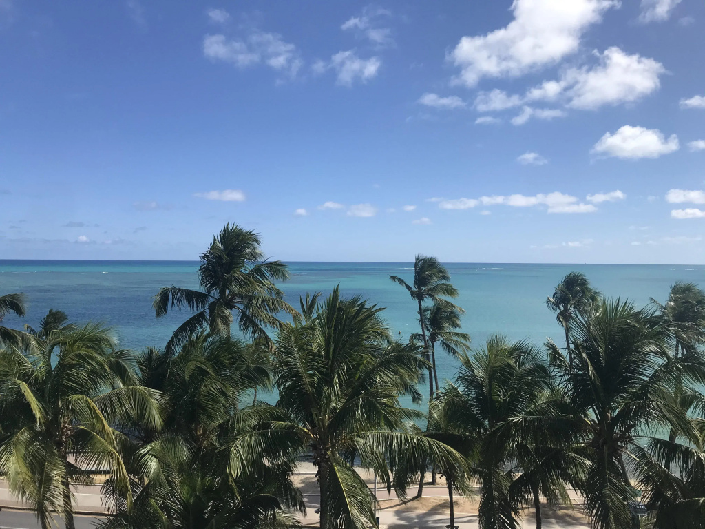 Beach & Waterfront