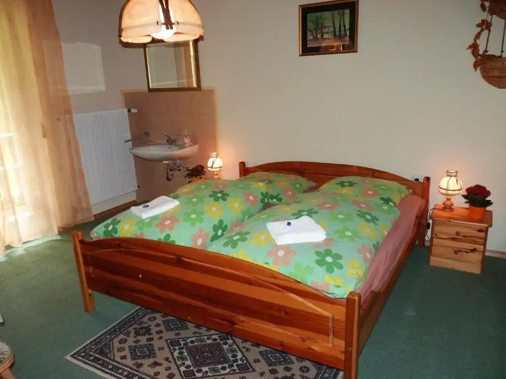 Standard Double room (full double bed)