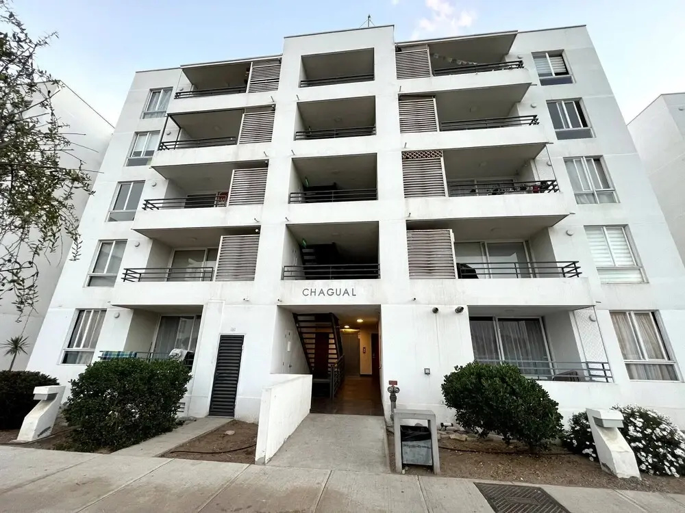 The Racoon Apartament