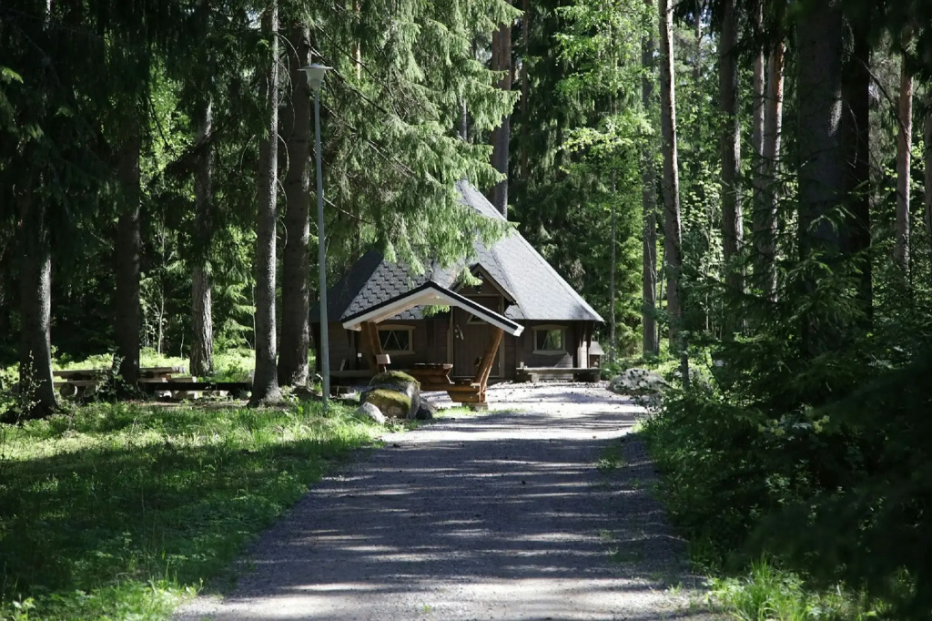 Hotel photo 50