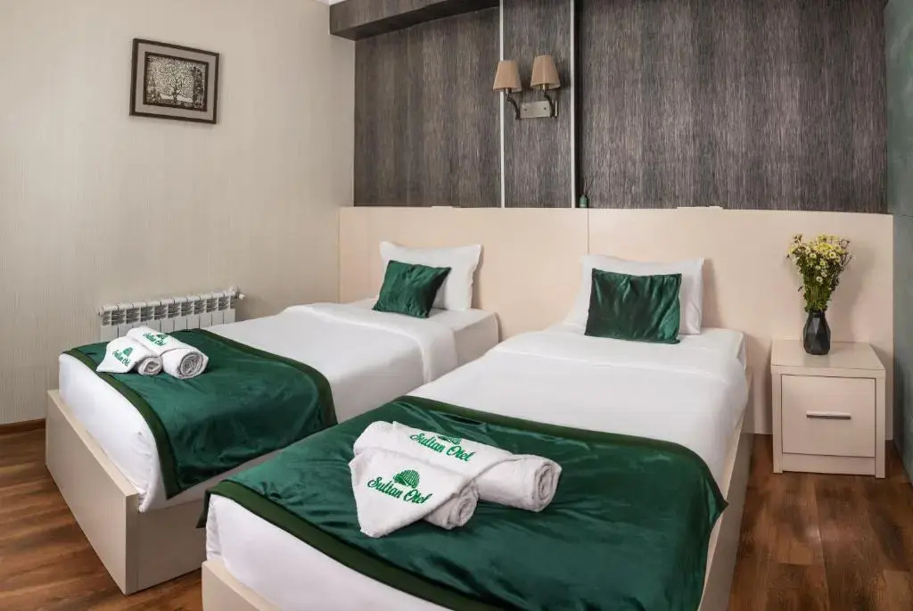 Economy Double room (twin beds)
