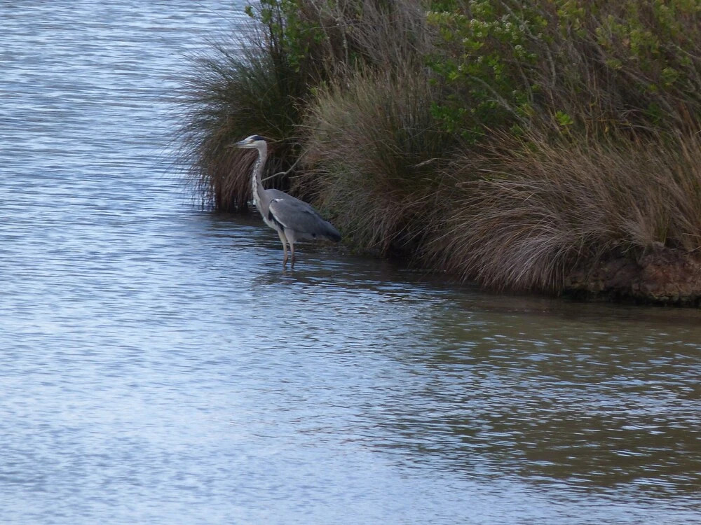 Image 9