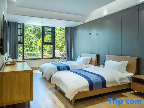 Standard Double room with mountain view (twin beds)