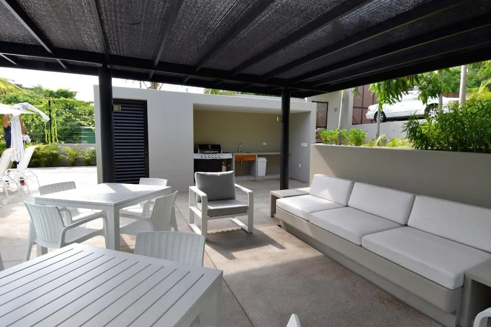 Agaves 203