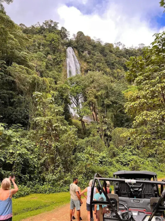 The Mango Tree Villas and Spa - фото 40