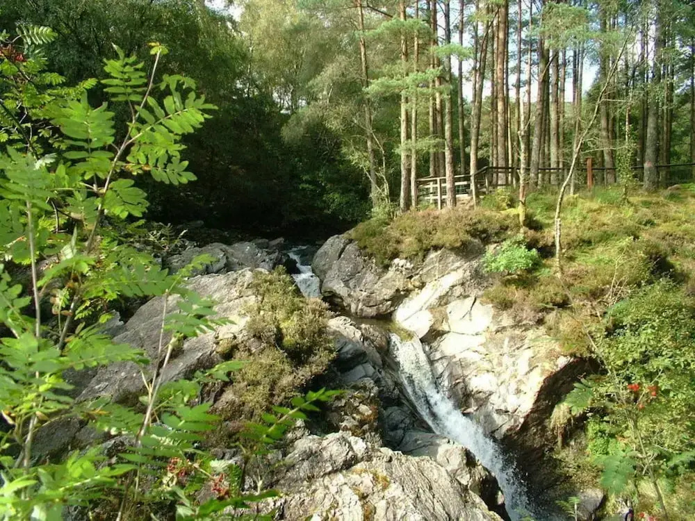 Strathfillan Wigwams 6