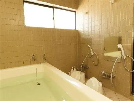 Business Hotel Tsukushi