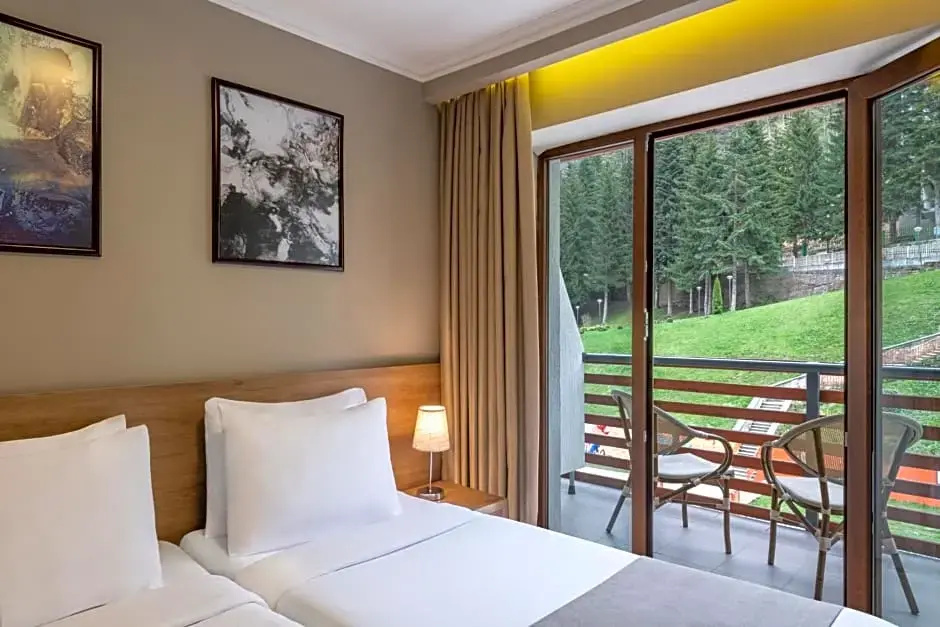 Standard Double room with view (twin beds)