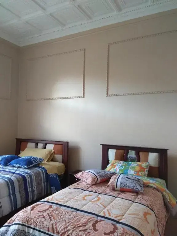 Standard Double room (twin beds)